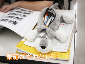 動物が好きだから…？